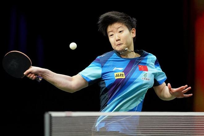 端碎片化体 端碎片化体